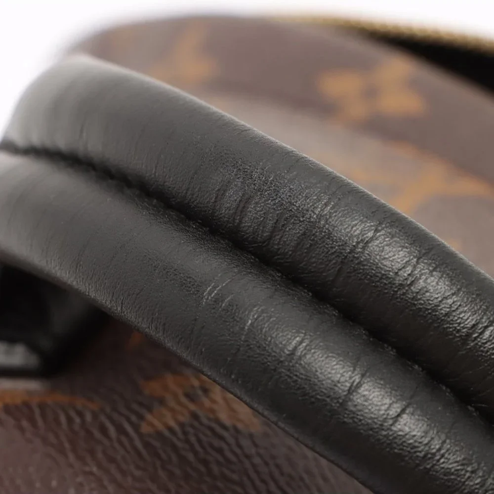 Louis Vuitton Palm Springs MM Monogram Backpack - Picture 14 of 16